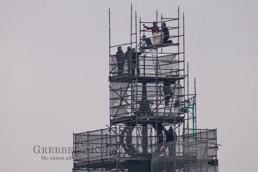 Rhenen, 11 december 2015. Torenhaantje terug op Cuneratoren. Fotograaf: M. Hoekstra