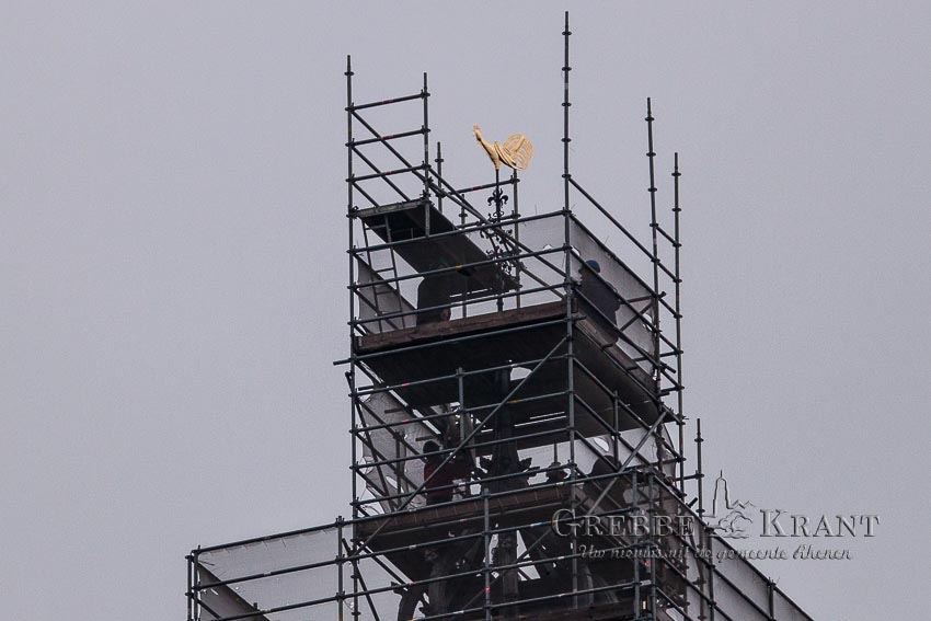 Rhenen, 11 december 2015. Torenhaantje terug op Cuneratoren. Fotograaf: M. Hoekstra