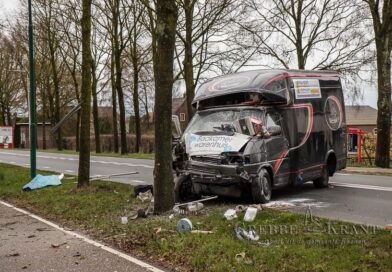 Bedrijfsbus botst tegen boom