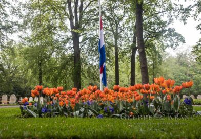Nationale Militaire Dodenherdenking